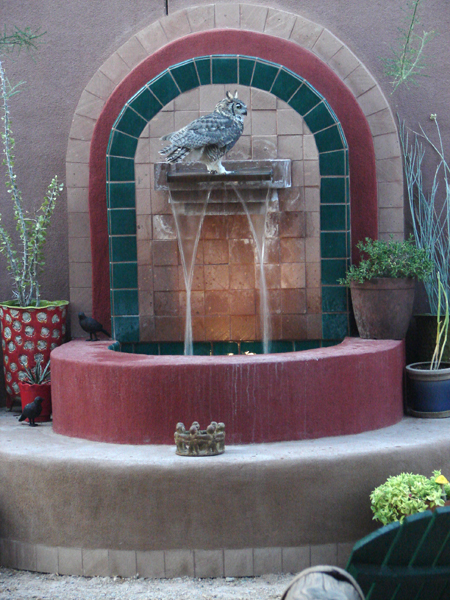 great horned owl